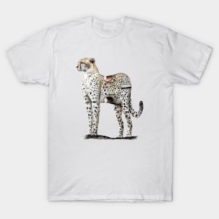 Cheetah T-Shirt